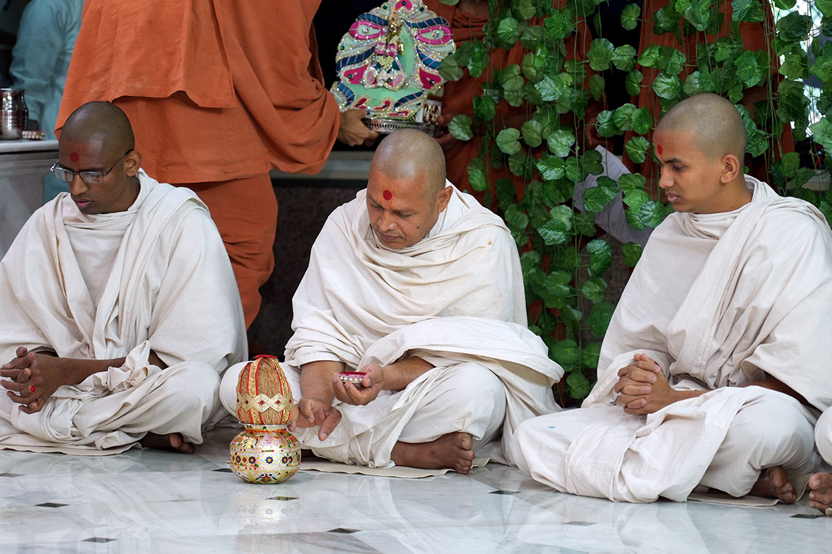 Divya Sant Dixa Samaroh 2023 - Swaminarayan Dham