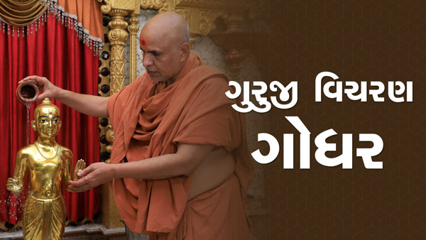 HDH Swamishri Vicharan | Godhar