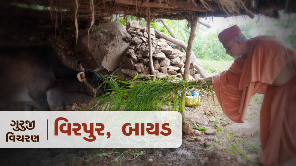 HDH Swamishri Vicharan | Virpur & Bayad