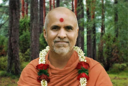 HDH Swamishri Vicharan